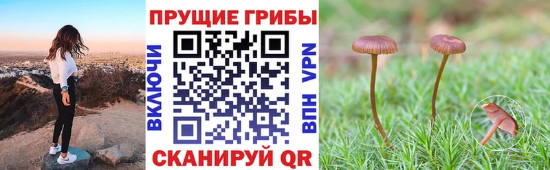 Галлюциногенные грибы мухоморы  цены наркотик  Нея 